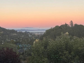 Modern, view home on San Rafael/San Anselmo border